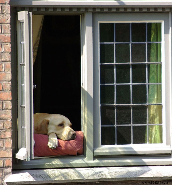 Upgrading Windows for Better Thermal Performance: Expert Insights and Tips