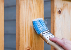 Linseed Oil: The Premier Natural Treatment for Protecting and Enhancing Wood