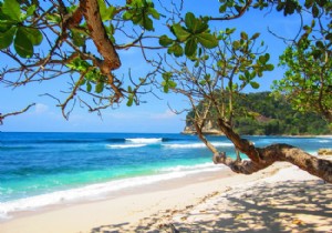 Trompe l Œil Wallpaper: Transform Your Home with Stunning Optical Illusions