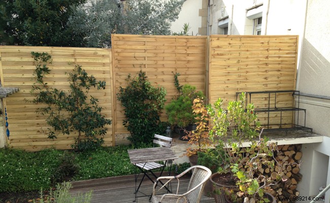 Claustra Screens: Expert Guide to Boosting Garden Privacy, Style, and Comfort