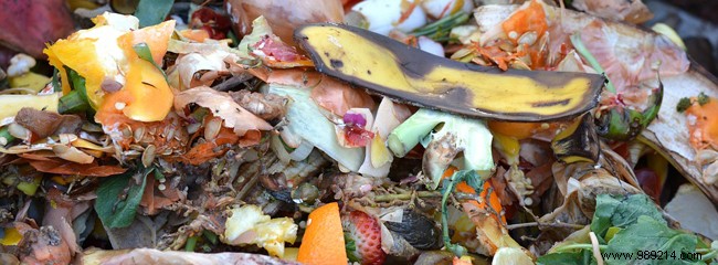 What Can You Compost? Essential Lists of Green, Brown, and Waste to Avoid