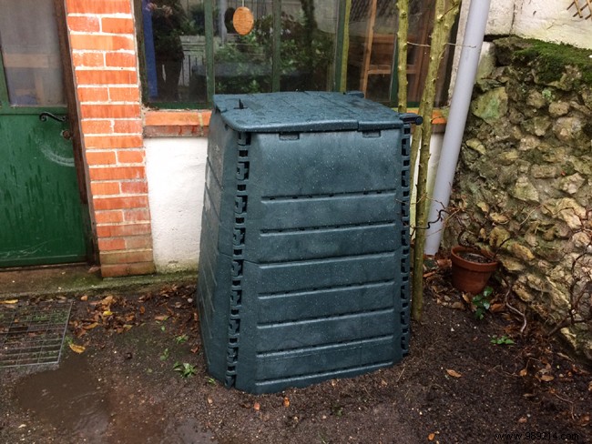 What Can You Compost? Essential Lists of Green, Brown, and Waste to Avoid