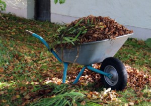 5 Essential Fall Garden Tasks to Prepare for Winter