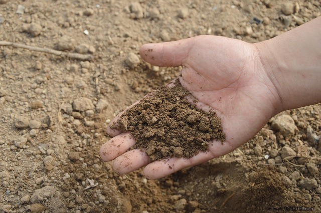 How to Make Nutrient-Rich Compost at Home: Expert Guide