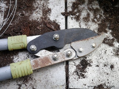 Winter Garden Tool Maintenance: Expert Tips for Long-Lasting Performance