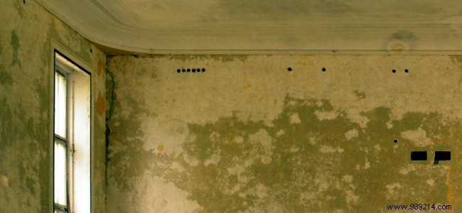 Expert Guide: How to Treat Damp Interior Walls – Signs, Solutions & Costs