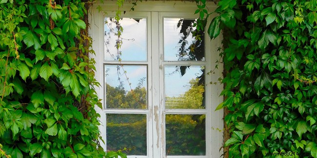 Standard Window Sizes for Homes: Key Dimensions for Renovations and Construction