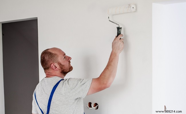 Professional Painter Costs: Average Prices Per Square Meter and Hourly Rates
