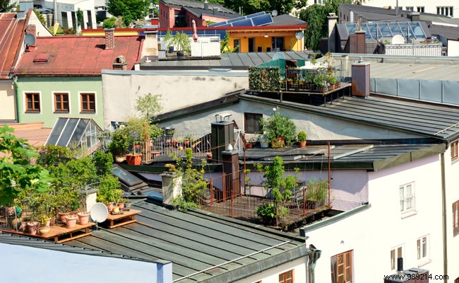 Expert Guide: How to Waterproof Your Terrace and Prevent Costly Damage