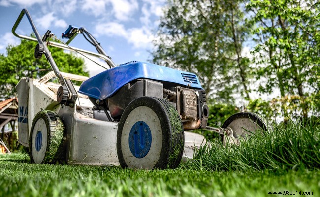 How to Choose the Best Lawn Mower: Expert Guide to Types, Features, Models & Prices