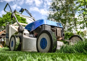 How to Choose the Best Lawn Mower: Expert Guide to Types, Features, Models & Prices