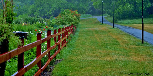Essential Rules for Installing a Fence Around Your Home