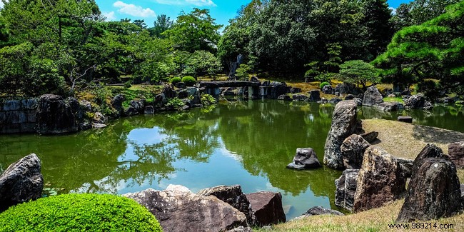 Creating a Japanese Garden at Home: Timeless Principles for Serene Outdoor Spaces