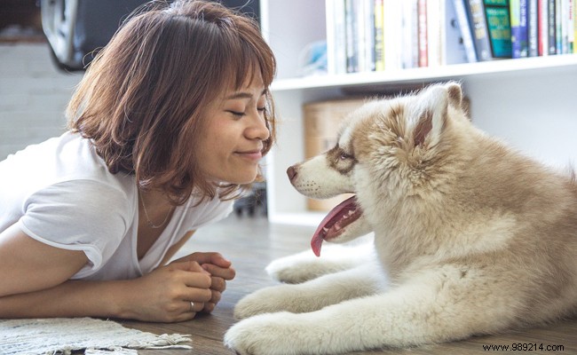 3 Zoonotic Diseases Dogs Can Transmit to Humans: Risks, Symptoms, and Prevention