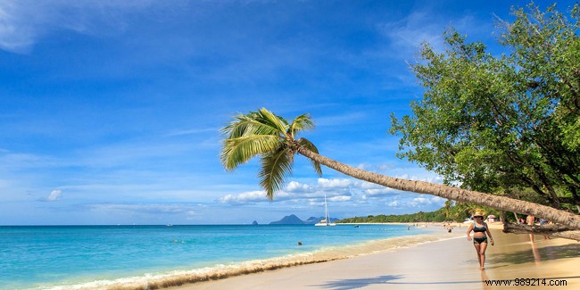 Should You Plan Your Martinique Vacation Yourself? Expert Tips and Advice