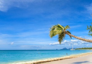 Should You Plan Your Martinique Vacation Yourself? Expert Tips and Advice