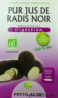 Discover the Proven Health Benefits of Black Radish for Digestion, Detox, and More