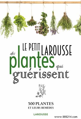 Can Medicinal Plants Truly Heal? Expert Insights on Benefits and Limits