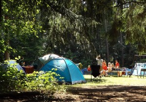 Essential Camping Kit: Must-Haves for Comfortable Outdoor Adventures