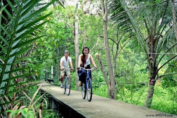Thailand s Top Cycling Destinations: Best Spots for Unforgettable Bike Adventures