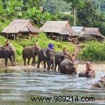 Discover Authentic Ecotourism in Thailand: Sustainable Travel and Conservation