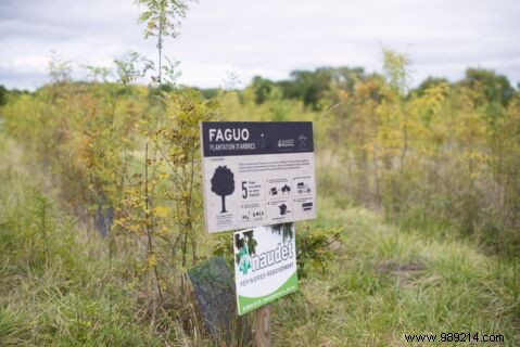 Faguo: The French Eco-Responsible Fashion Brand Driving Sustainability