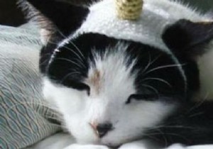 Adorable Handmade Crochet Hats for Dogs and Cats: Fun Winter Designs