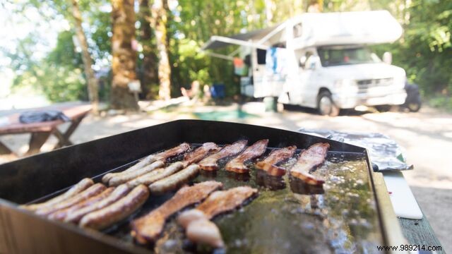 Best Plancha Grills for Summer: Expert Buying Guide to Gas, Electric & More