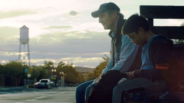 3 Compelling Reasons to Watch  The Veteran  Starring Liam Neeson