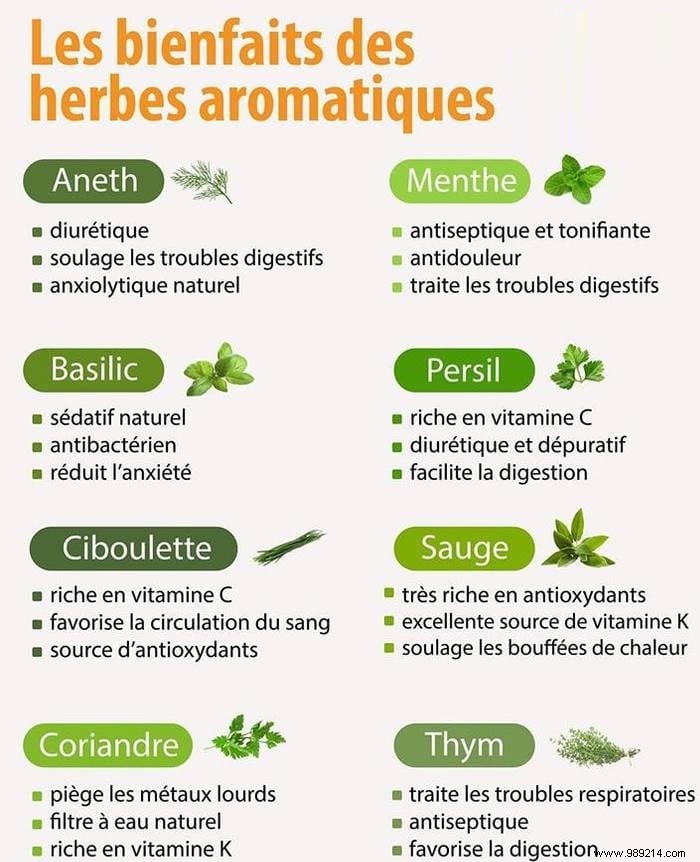 Alternative Medicine: A Holistic Path to Better Health and Well-Being