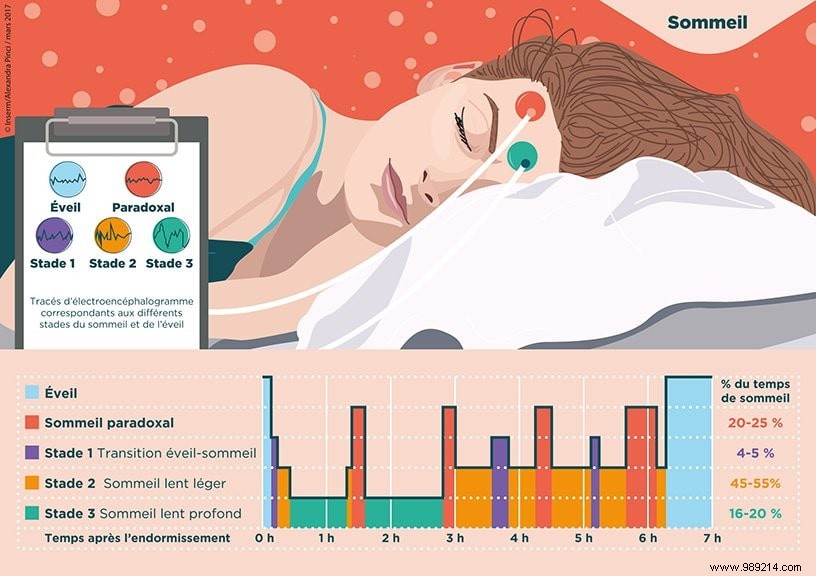 Why Do Some Dreams Fade While Others Linger? The Neuroscience of Dream Recall