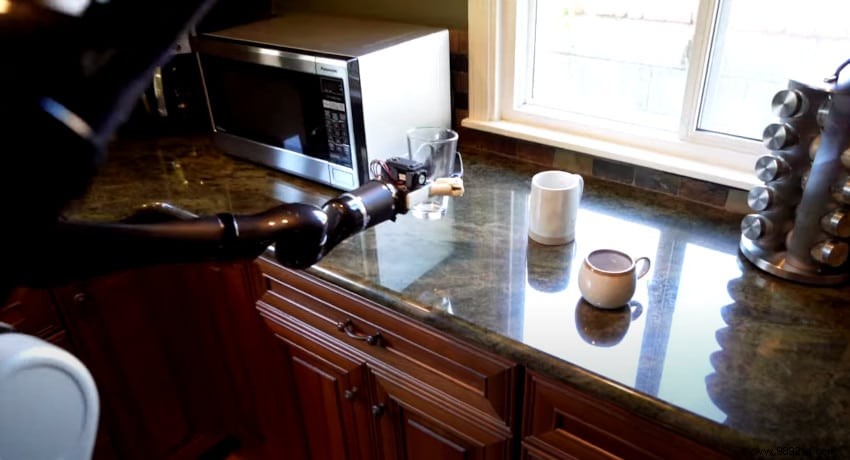 Will Humanoid Bot Butlers Ever Transform Our Daily Home Lives?