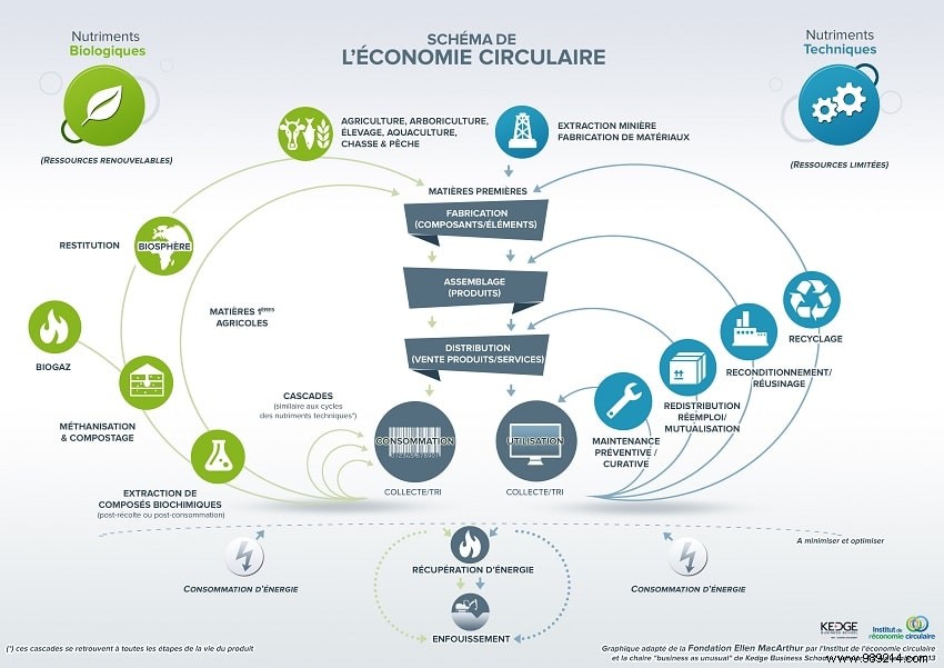 Circular Ecology: Reviving Technology for a Sustainable Future