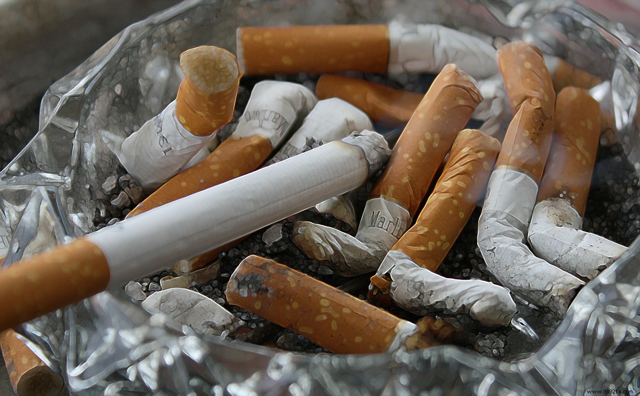 Experts Urge Ban on Filtered Cigarettes: No Health Benefits, Major Pollution Threat