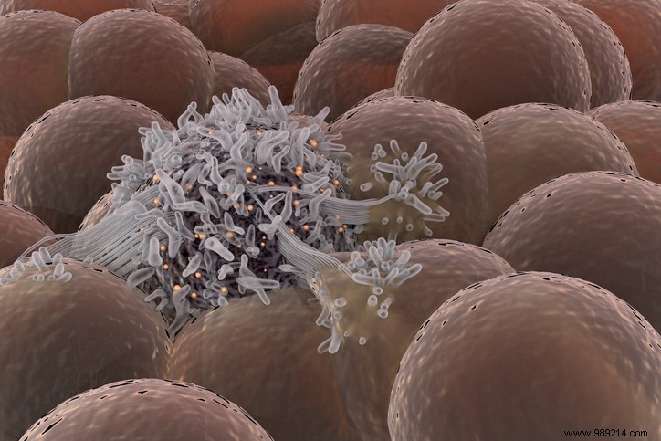 Could Microgravity Be Cancer s Worst Enemy? Groundbreaking Lab Insights