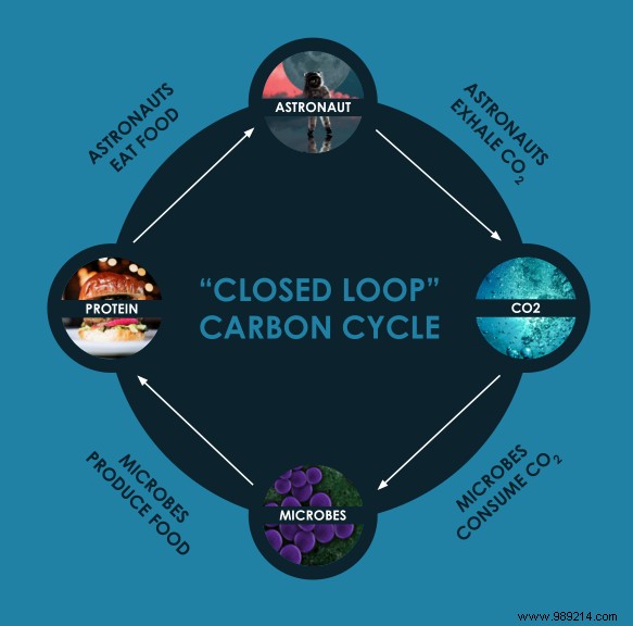 Air Protein: Pioneering Sustainable Protein from Air