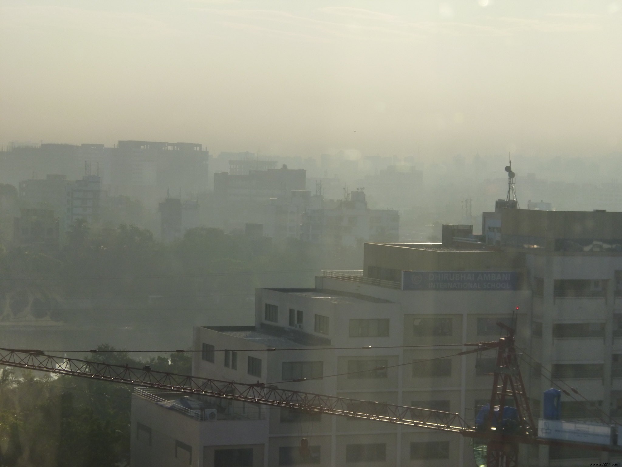 Air Pollution s Potential Role in Severe COVID-19 Cases: Insights from Leading Experts