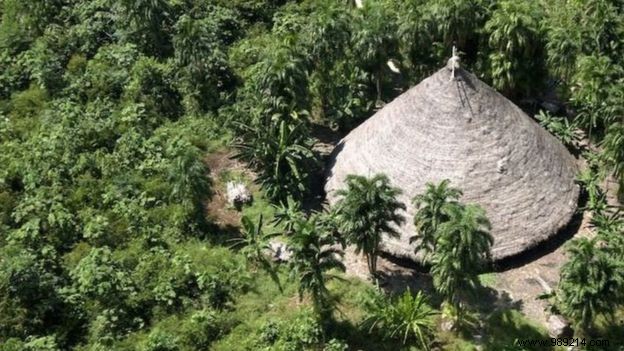 Brazil Confirms First COVID-19 Case in Amazon Indigenous Community