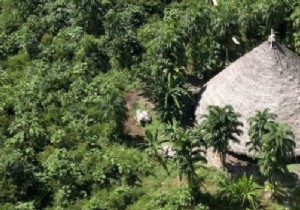 Brazil Confirms First COVID-19 Case in Amazon Indigenous Community