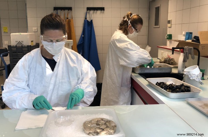 Can You Catch COVID-19 from Swimming in the Sea? Insights from Ifremer Research