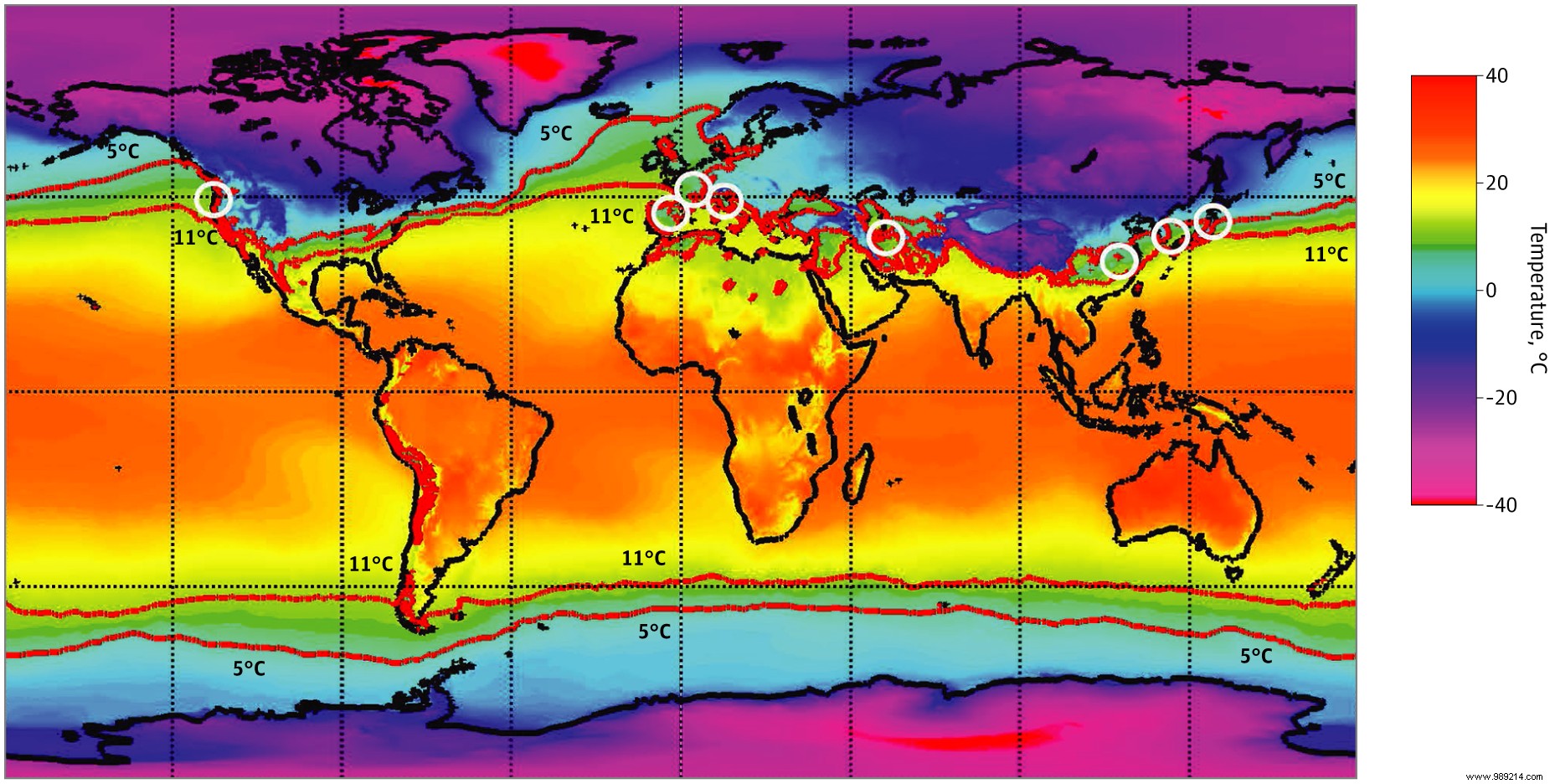 University of Virginia Study Confirms COVID-19 Seasonality, Warns of Winter Waves in Northern Hemisphere