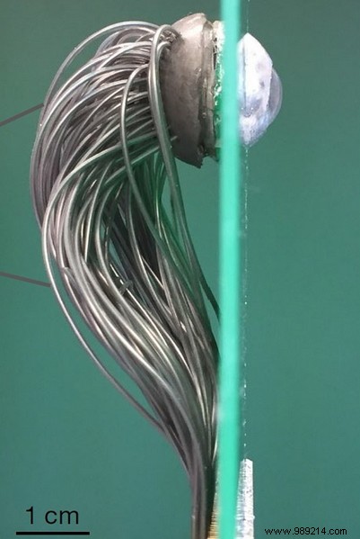 Breakthrough Prototype: Bionic Eye Mimics Human Retina Structure