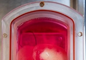 Bioengineered Mini Human Livers from Skin Cells Successfully Transplanted into Rats