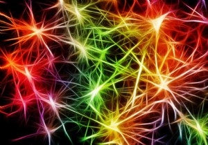 First-Ever Video Captures Brain s Cleanup of Dead Neurons in Mice