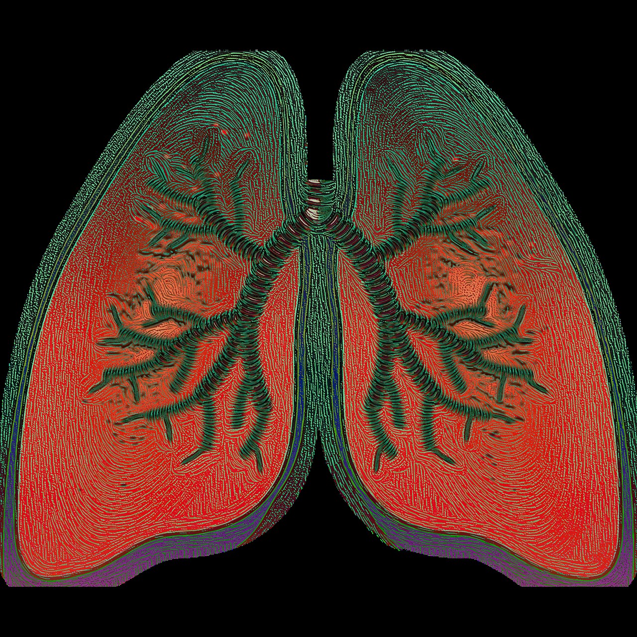 Promising Lung Protein Discovery Offers New Hope for Asthma and COPD Relief