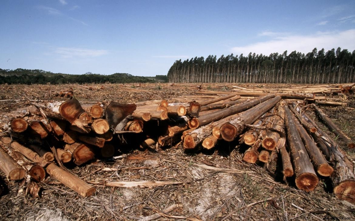 UCL Study in Nature: Human Activities Heighten Pandemic Risks by Altering Ecosystems