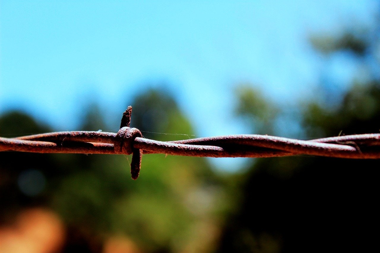 Why Do Some Diseases Confer Lifelong Immunity While Others Require Repeat Protection?