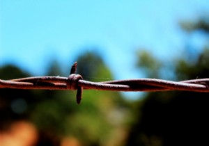 Why Do Some Diseases Confer Lifelong Immunity While Others Require Repeat Protection?