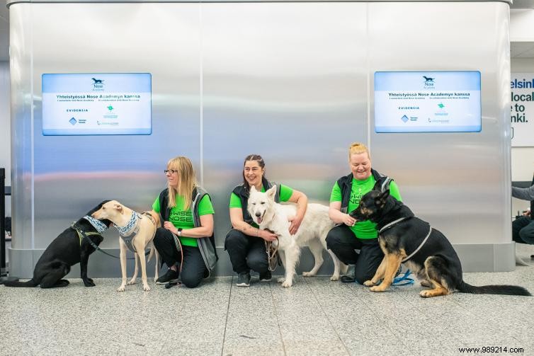 Helsinki Airport Pioneers Sniffer Dogs for Near-100% Accurate COVID-19 Detection