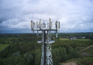 German NGO Reveals Smartphone and WiFi Radiation s Potential Link to Insect Decline